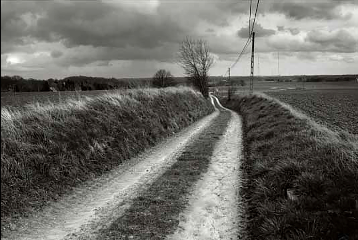 Overijse, Rotweg © Michiel Hendryckx