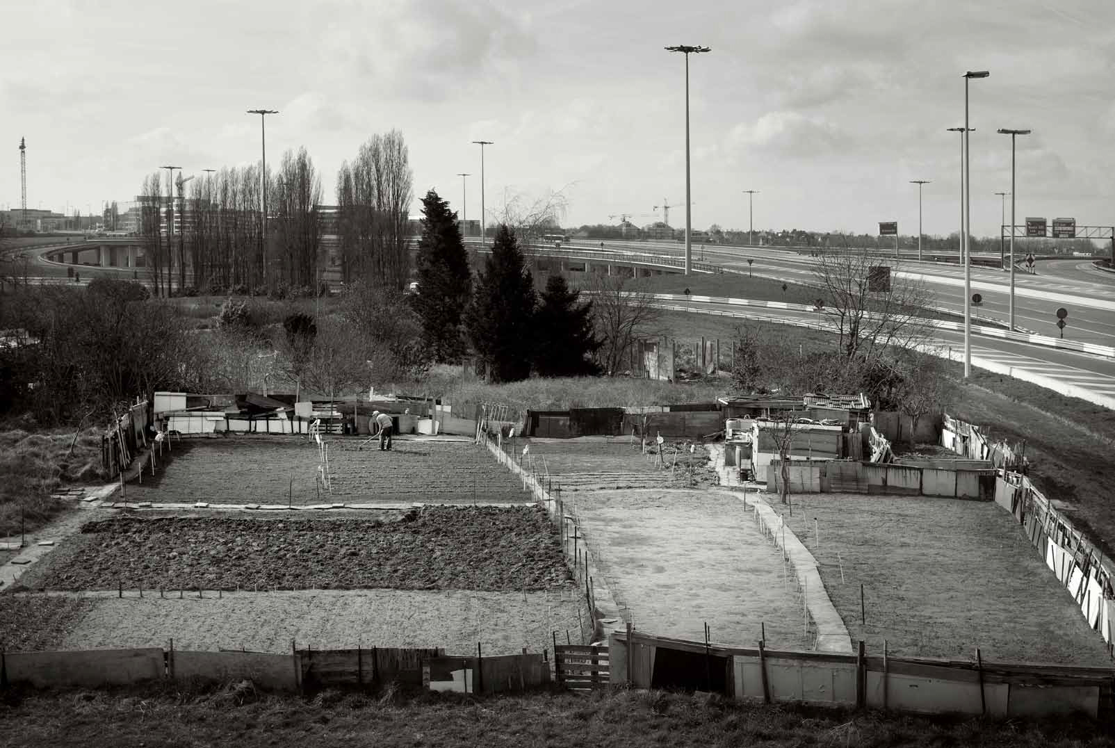 Tuinieren in het niemandsland van de Vuurberg © Michiel Hendryckx