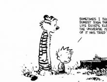 Calvin & Hobbes